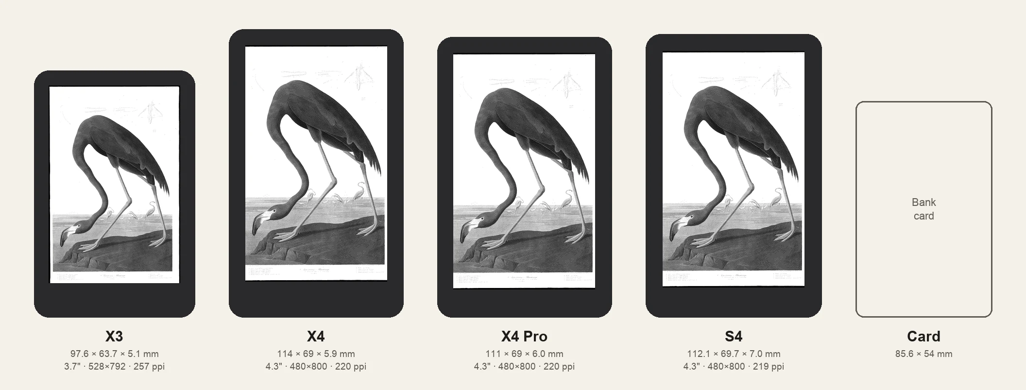 Xteink X3, X4, X4 Pro and S4 drawn to scale next to a bank card, each showing the same flamingo picture